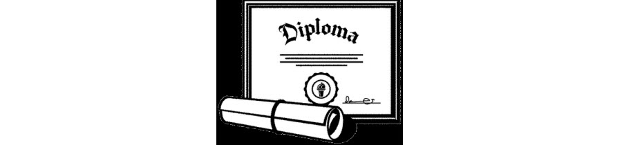 Leerlingen speciaal onderwijs krijgen diploma